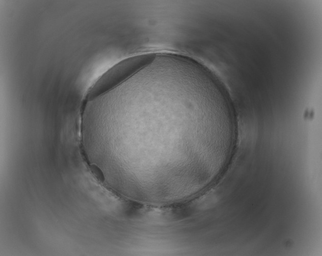 X0000112171365200909041140