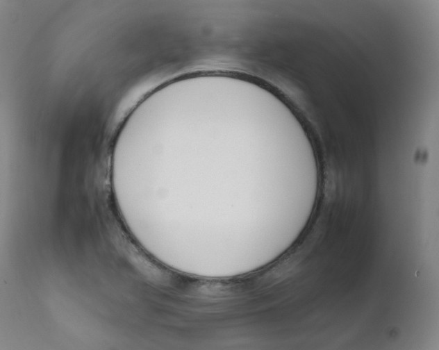 X0000112171366200909041140