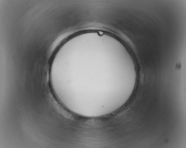 X0000112171368200909041140