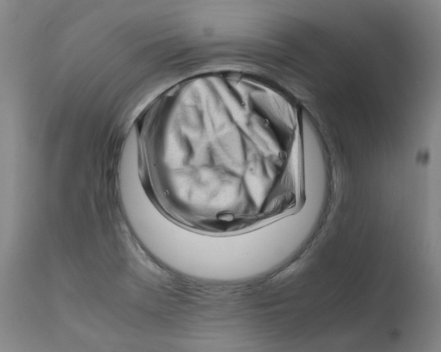 X0000112171369200909041140