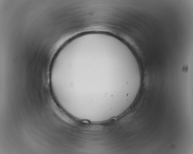 X0000112171372200909041140