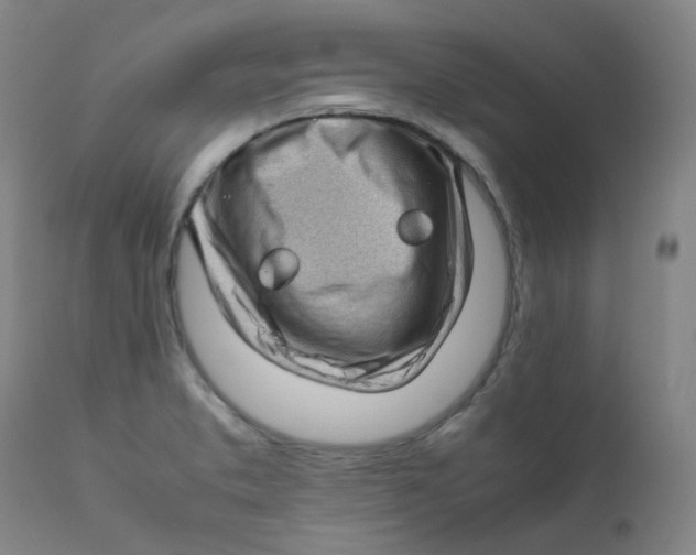 X0000112171373200909041140