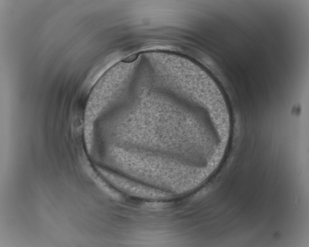 X0000112171377200909041140