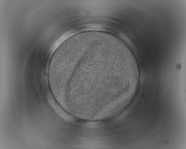 X0000112171378200909041140