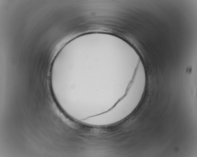 X0000112171379200909041140