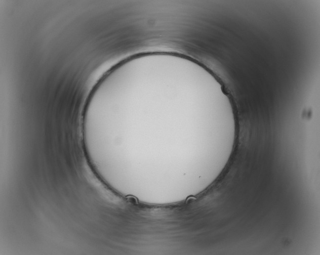 X0000112171380200909041140