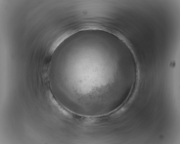 X0000112171385200909041139