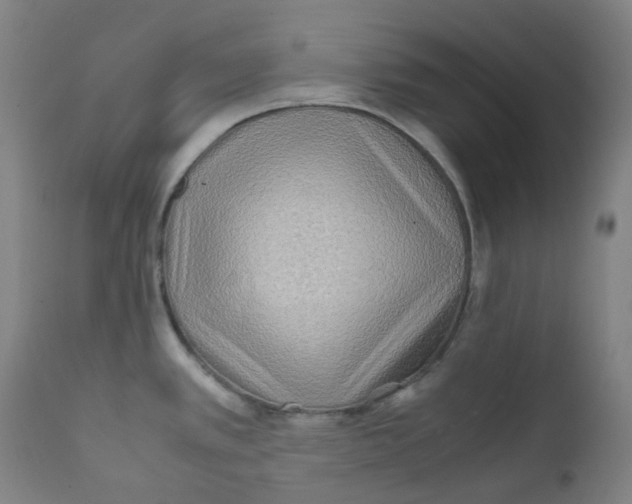 X0000112171389200909041139