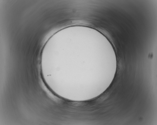 X0000112171391200909041139