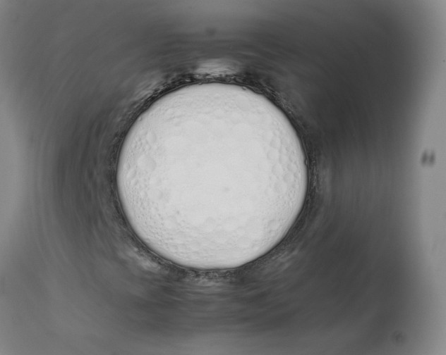 X0000112171393200909041139