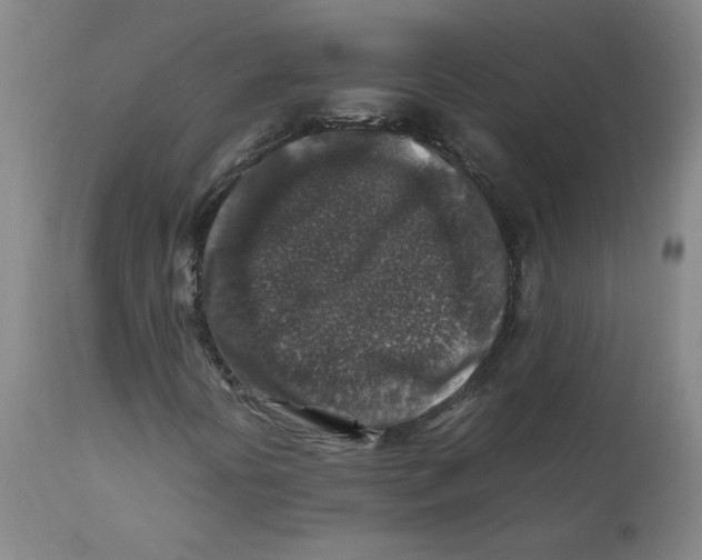 X0000112171394200909041139