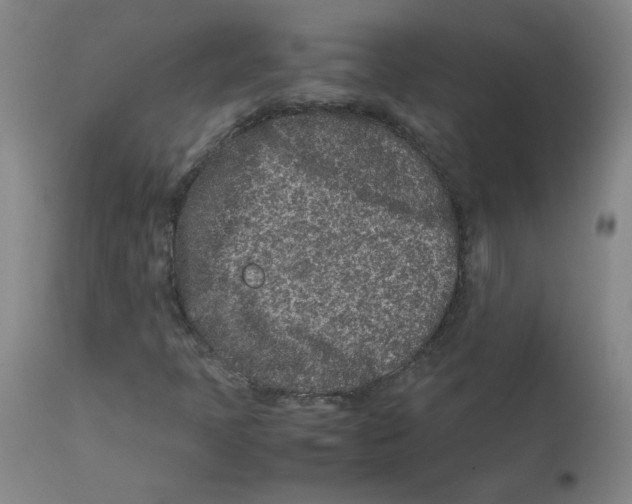 X0000112171397200909041139