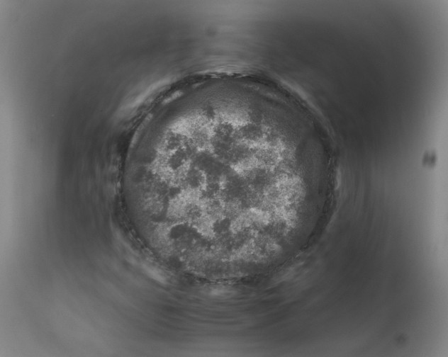 X0000112171399200909041139