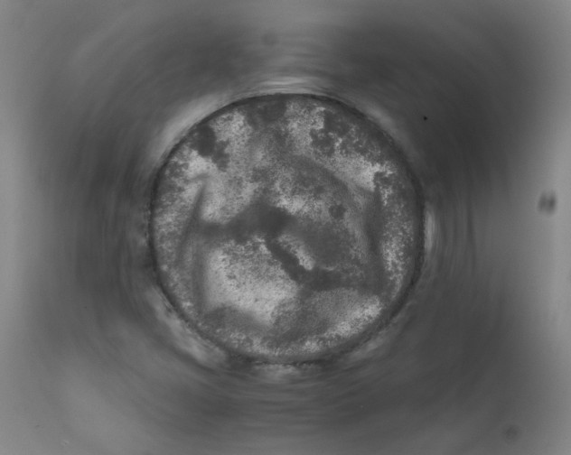 X0000112171405200909041139