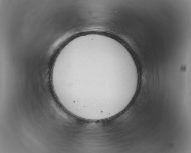 X0000112171406200909041139