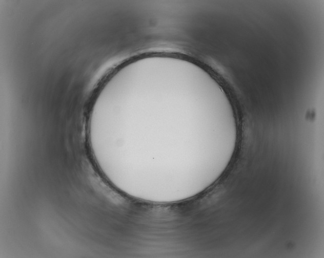 X0000112171408200909041139