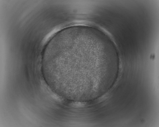 X0000112171411200909041139