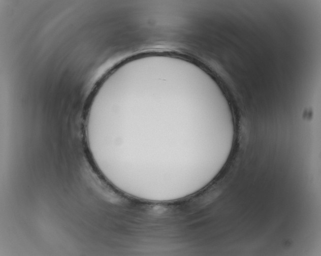 X0000112171412200909041139