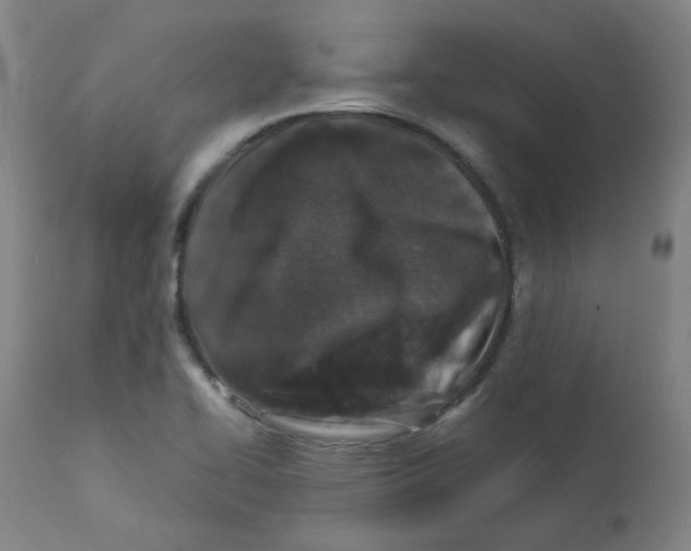 X0000112171414200909041139