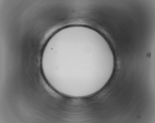 X0000112171416200909041139