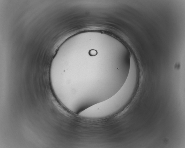 X0000112171417200909041139