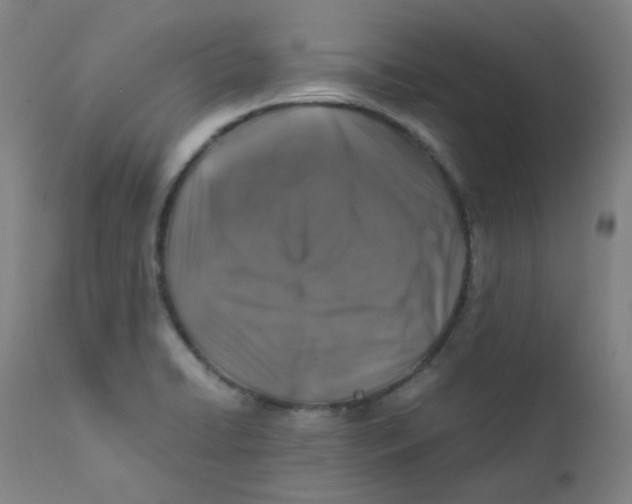 X0000112171422200909041139