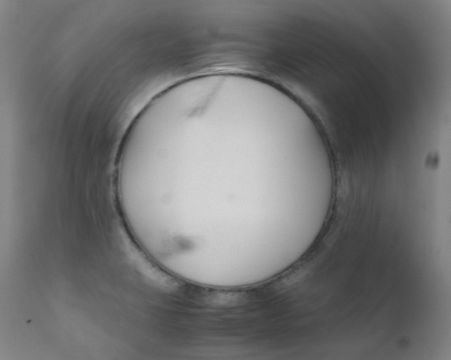 X0000112171423200909041139