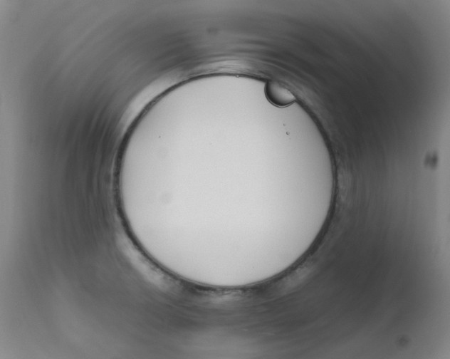 X0000112171426200909041139