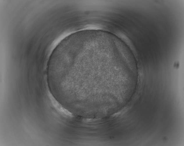 X0000112171427200909041139