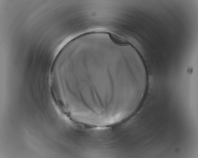 X0000112171428200909041139