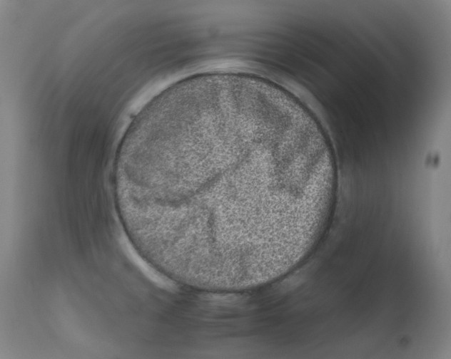 X0000112171429200909041139