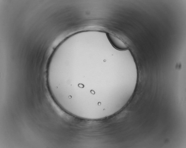 X0000112171430200909041139