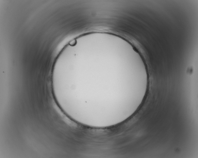 X0000112171432200909041139