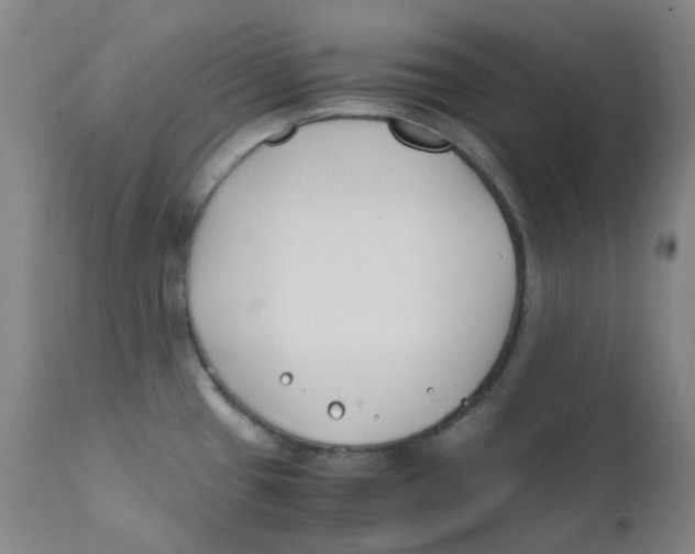 X0000112171433200909041139