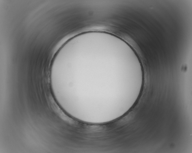 X0000112171436200909041139