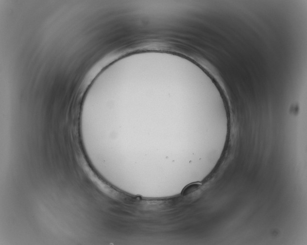 X0000112171437200909041139