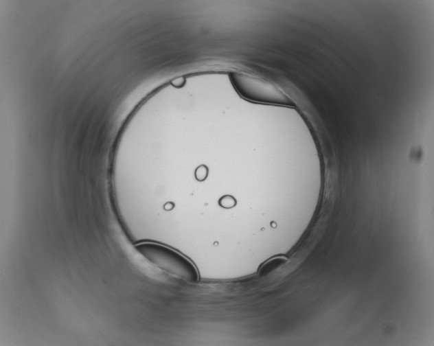 X0000112171438200909041139