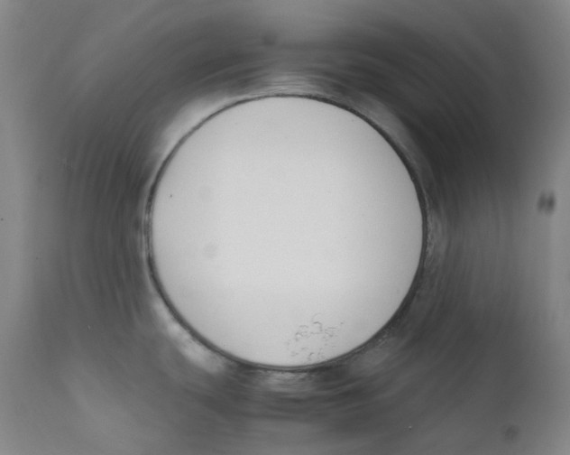 X0000112171439200909041139