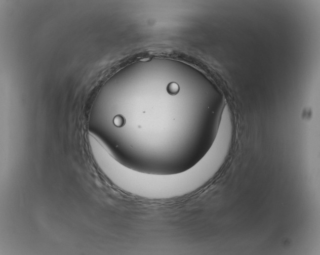 X0000112171445200909041139