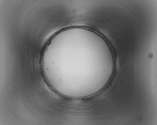 X0000112171452200909041139