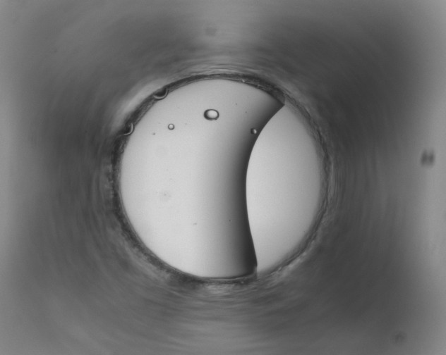 X0000112171453200909041139