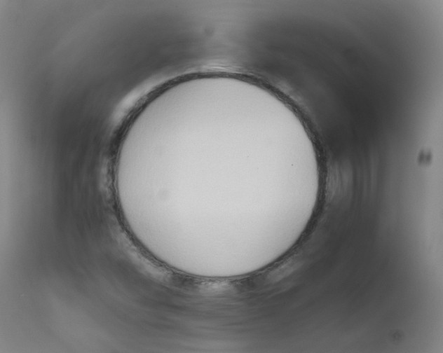 X0000112171454200909041139