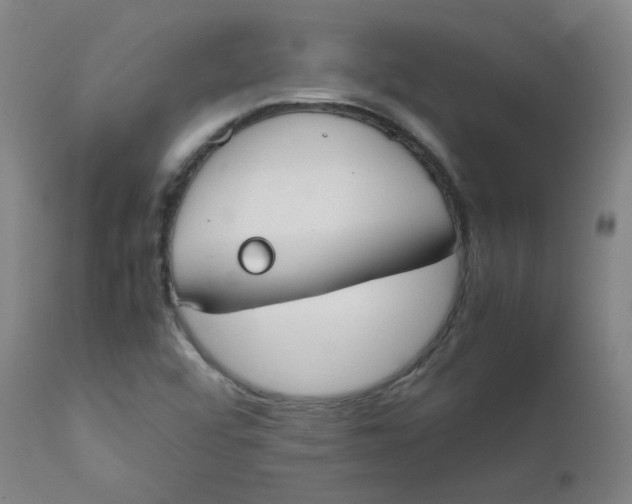 X0000112171456200909041138