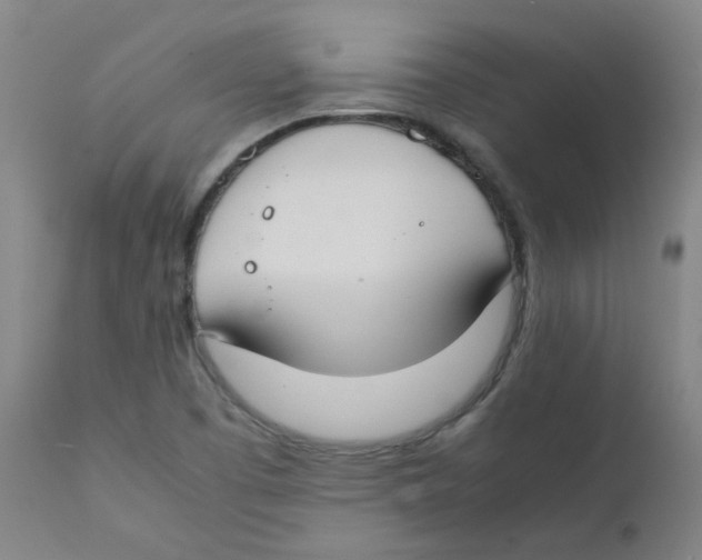 X0000112171457200909041138