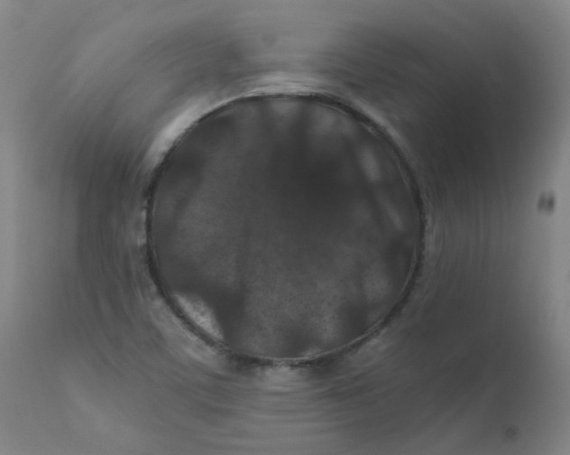 X0000112171459200909041138