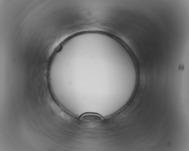 X0000112171460200909041138