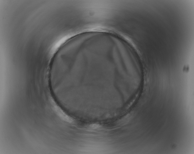 X0000112171463200909041138