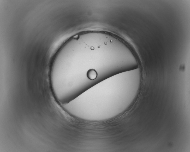 X0000112171464200909041138