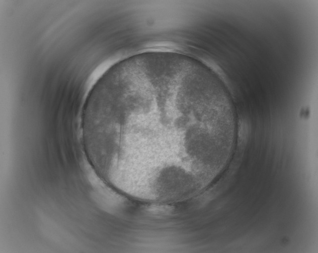 X0000112171466200909041138