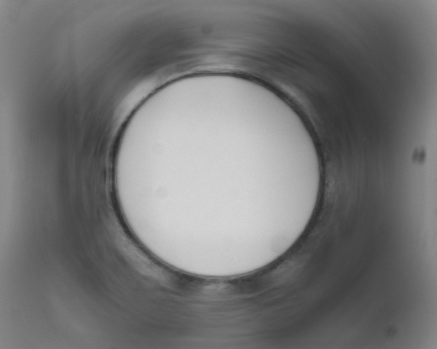 X0000112171467200909041138